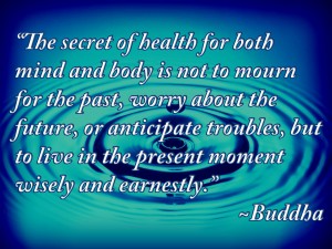 "The secret of health for both mind and body is not to mourn for the past, worry about the future, or anticipate troubles, but to live in the present moment wisely and earnestly." ~Buddha~